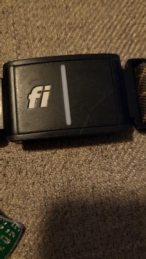 Fi Collar Won'T Stop Blinking Green