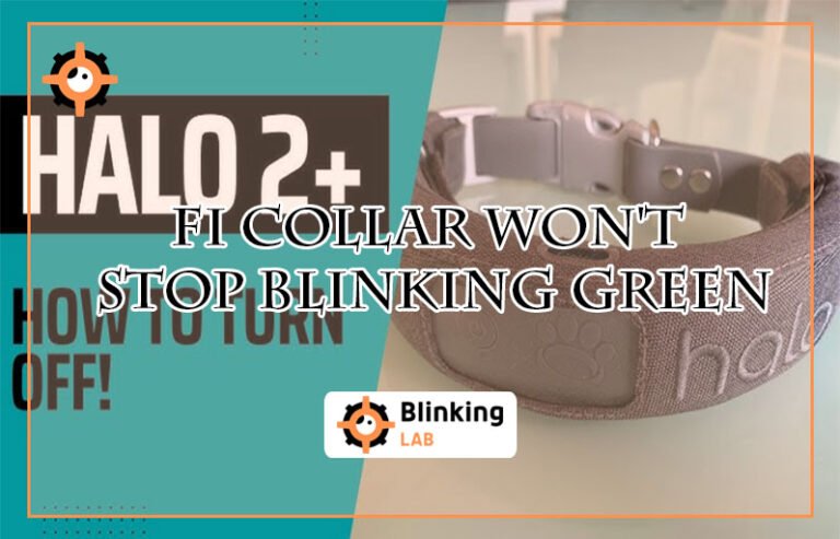Fi Collar Won'T Stop Blinking Green
