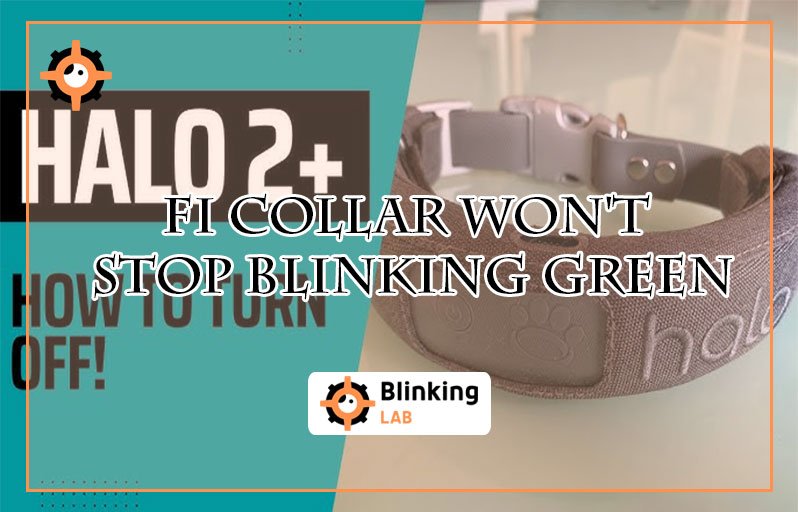 Fi Collar Won'T Stop Blinking Green