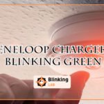 Eneloop Charger Blinking Green-FI