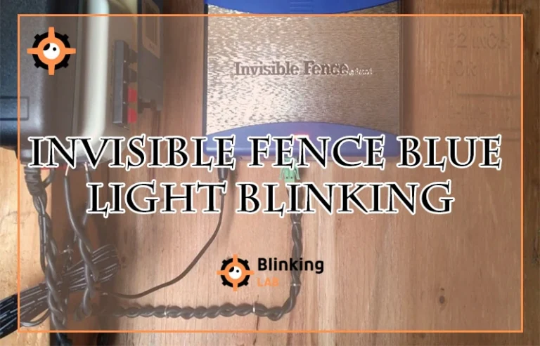 Invisible Fence Blue Light Blinking