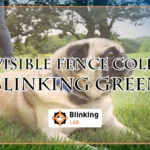 Invisible Fence Collar Blinking GreenFI