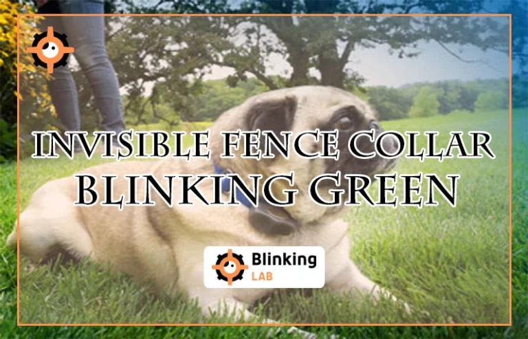 Invisible Fence Collar Blinking GreenFI