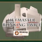 Liftmaster Blinking Twice