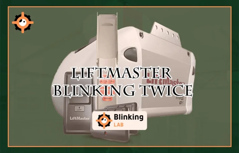 Liftmaster Blinking Twice