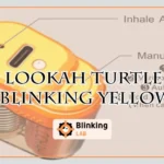 Lookah Turtle Blinking Yellow-FI