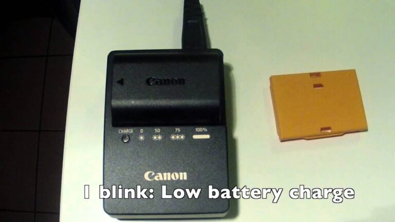 Canon Battery Charger Blinking Orange