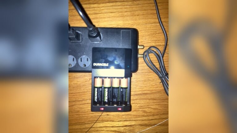 Duracell Battery Charger Blinking Red