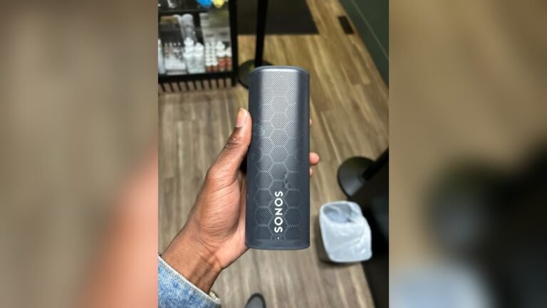 Sonos Blinking White Light