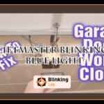 Liftmaster Blinking Blue Light