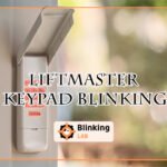 Liftmaster Keypad Blinking