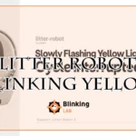 Litter Robot Blinking Yellow