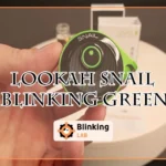 Lookah Snail Blinking Green