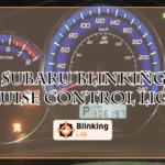 Subaru Blinking Cruise Control Light
