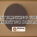 Nest Blinking Green Light No Display