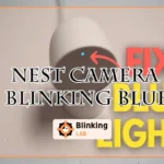 Nest Camera Blinking Blue