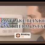 Snowflake Blinking on Thermostat