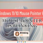 Mouse Pointer is Blinking
